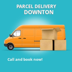 EX20 cheap parcel delivery services in Downton