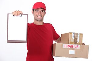 Millom package delivery companies LA18 dhl